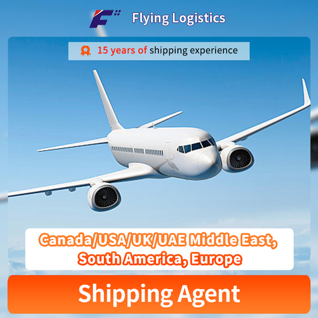 Spoľahlivý letecký a morský dopravný agent Dverne do dverí Service z Číny do Kanady/USA/UK/SAE Stredný východ, Južná Amerika, Európa atď.