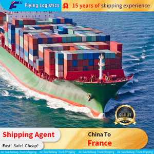 Διεθνής Υπηρεσία Logistics Από την Κίνα στη Γαλλία Αποστολή από πόρτα σε πόρτα
