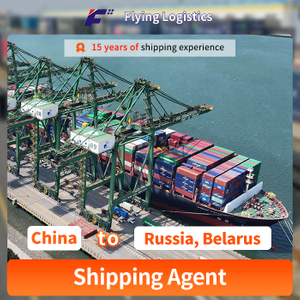 FCL Sea Shipping Agent Spedit&oslash;r fra Kina til Rusland, Hviderusland, indk&oslash;bsagent/indk&oslash;bsagent
