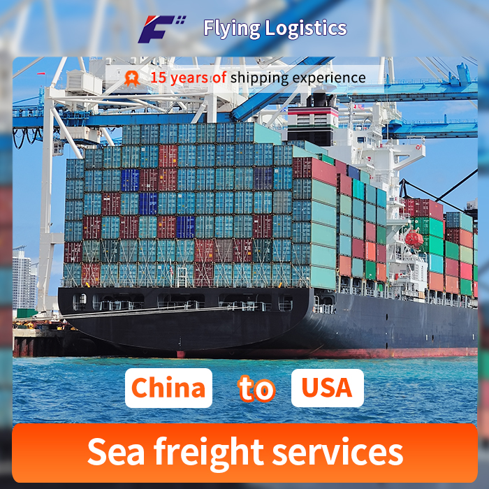 Servizio logistico di spedizionieri professionali dalla Cina agli Stati Uniti Spedizioniere marittimo o aereo