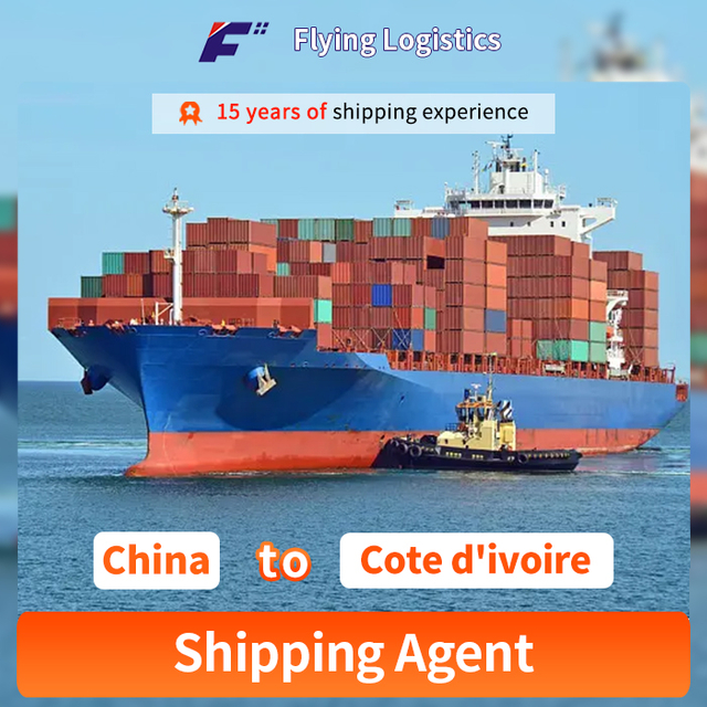 Ieftin FCL LCL Transport maritim de marfă către Cote d'Ivoire de la compania de agent de transport maritim din China