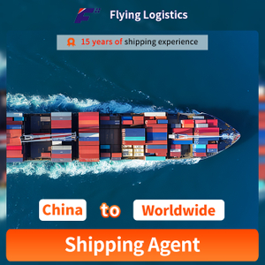  Servizio puntuale e professionale di spedizionieri economici Spedizione di container in tutto il mondo