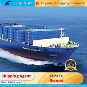 Prezzo di spedizione DHL dalla Cina al servizio logistico di costo del Brunei