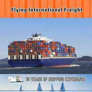 Trasporto marittimo economico e servizio di logistica LCL / FCL / mare DDP dell'agente di spedizione veloce dalla Cina all'America Europa Africa Asia In tutto il mondo Paese