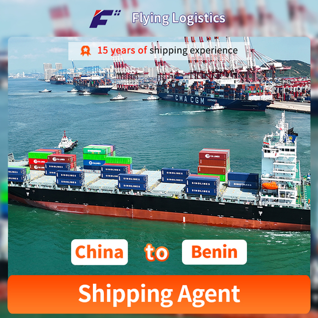 15 ani de experiență transport maritim de &icirc;ncredere din China către Benin Agent de transport maritim de containere LCL FCL