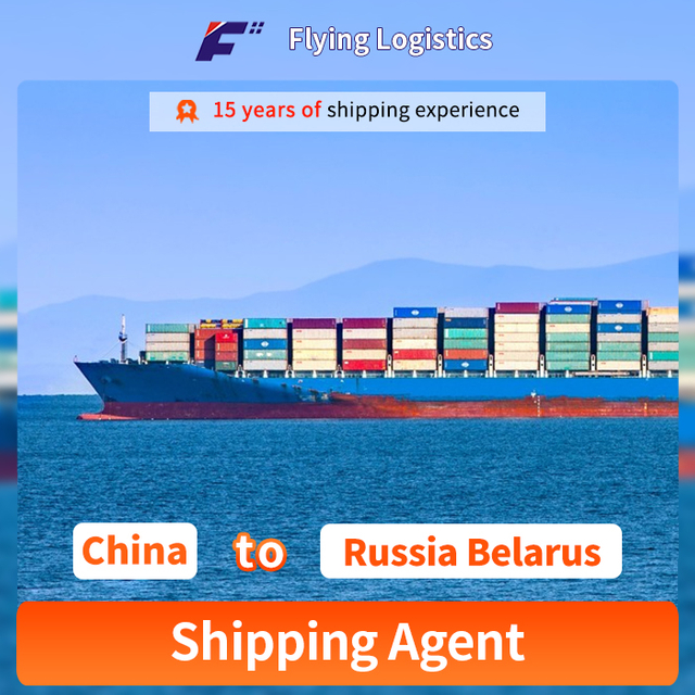 Die expediteur skeepsagent vol of minder as houerbelasting DDU DDP Sea Freight Shipping Transportation van China na Rusland Belo -Rusland