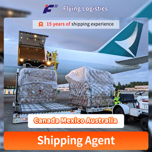 Shenzhen mededingende versendingsadent van die versendingsagent van China na Kanada Mexico Australia