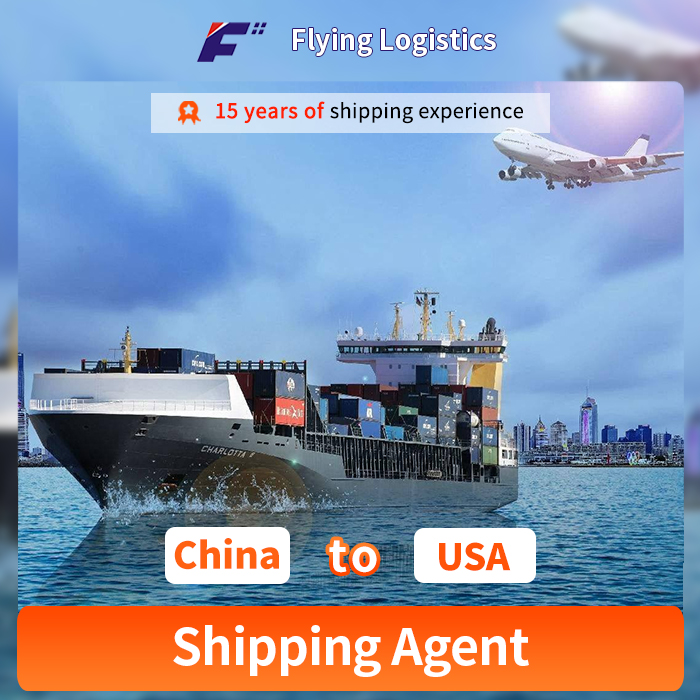 Profesion&aacute;ln&iacute; logistika přepravy z Č&iacute;ny do USA Řešen&iacute; přepravy od dveř&iacute; ke dveř&iacute;m