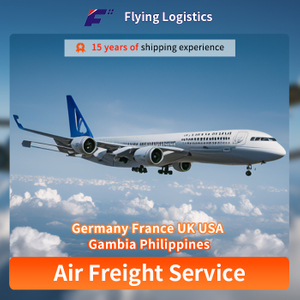 Wysyłka lotnicza z Chin do Niemiec Francja Anglia USA Gambia DHL Wysyłka lotnicza Najtańsza wysyłka ładunk&oacute;w lotniczych na Filipiny