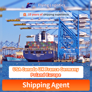Đại lý vận chuyển chuyên nghiệp Trung Quốc đến Hoa Kỳ Canada Vương quốc Anh Đức Ba Lan Châu Âu