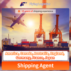 Amazon FBA Door To Sea Seas Shipping Service από την Κίνα στην Αμερική, τον Καναδά, την Αυστραλία, την Αγγλία, τη Γερμανία, τη Γαλλία, την υπηρεσία εφοδιαστικής μεταφοράς εμπορευμάτων της Ιαπωνίας