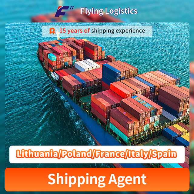 Levné sazby přepravy logistiky logistického servisního agenta z Číny do Litvy/Polska/Francie/Itálie/Španělsko